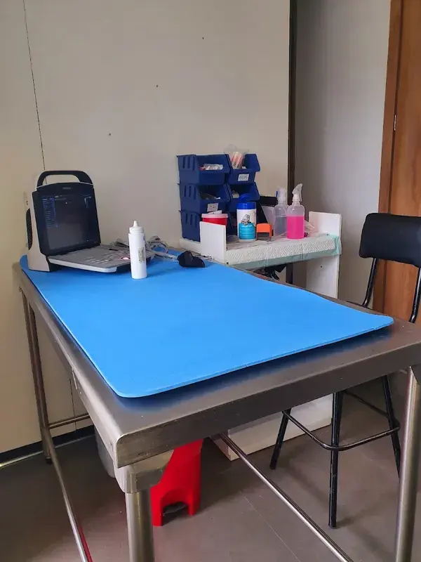 Mesa de revisión azul con un monitor
