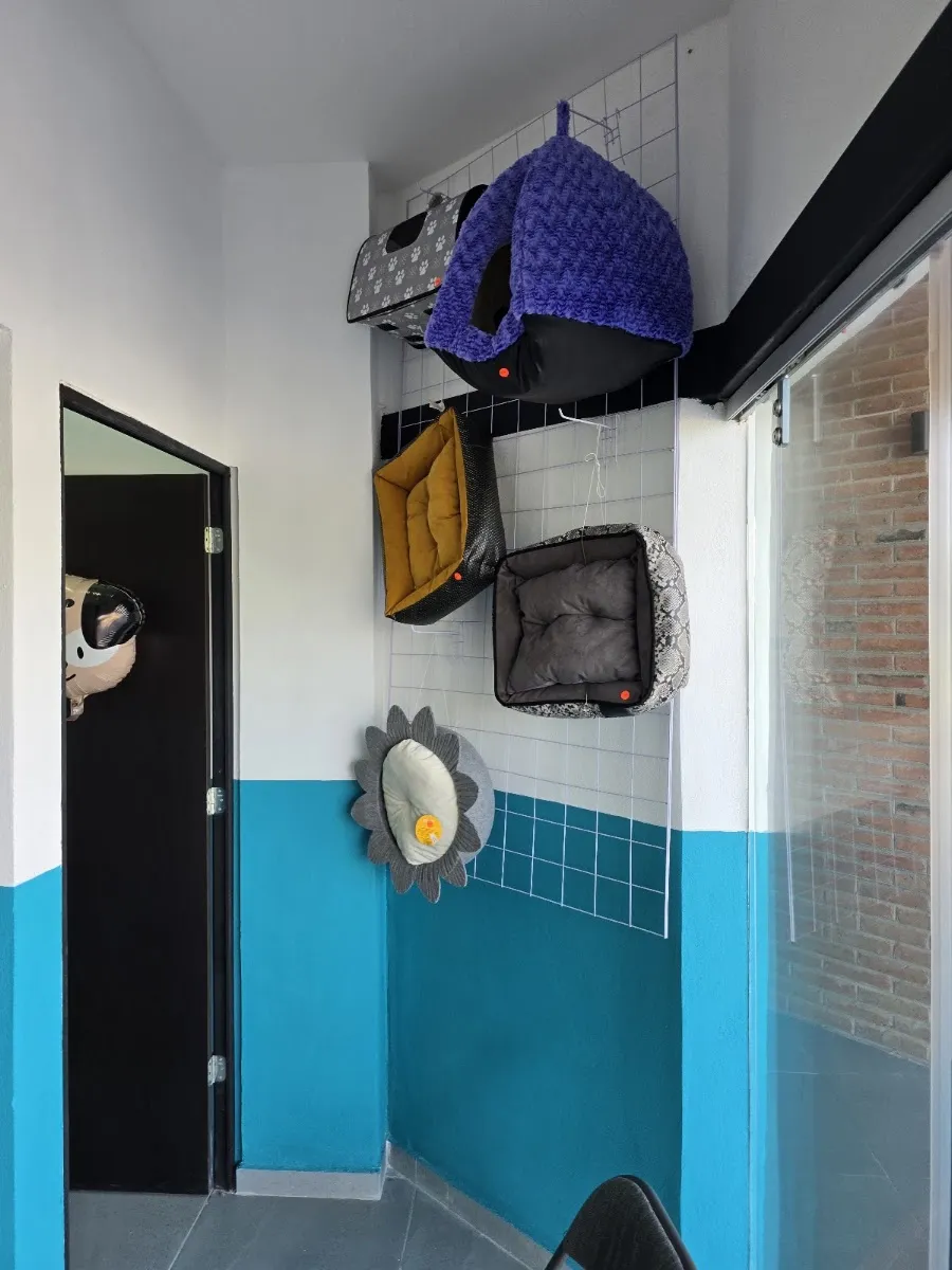 Camas y transportadoras colgadas en la tienda