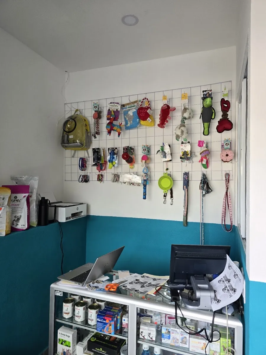 Pared de juguetes, correas y platos sobre el azulejo turquesa